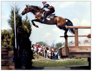 The cross country portion of the “triathlon” is the most extreme equestrian sport, pushing horses and riders often beyond their physical and mental limits.