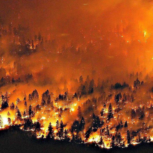 ÐÐ°ÑÑÐ¸Ð½ÐºÐ¸ Ð¿Ð¾ Ð·Ð°Ð¿ÑÐ¾ÑÑ British Columbia wildfires